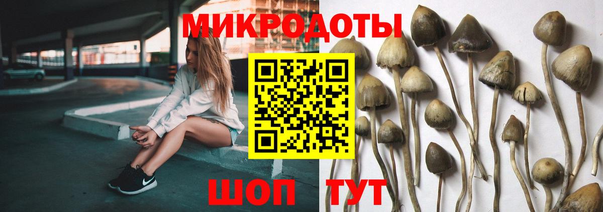 Ханты-Мансийск  хочу   Вход с VPN  Галлюциногенные грибы ЛСД 